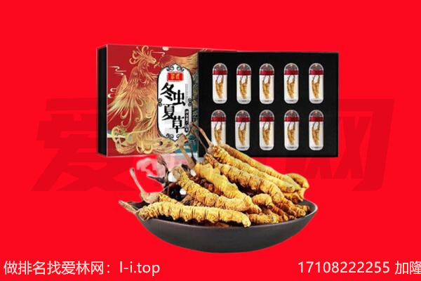 保定满城区回收虫草.jpg